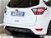 Ford Kuga 1.5 TDCI 120CV S&S 2WD Powershift ST-Line Business del 2019 usata a Albano Laziale (17)