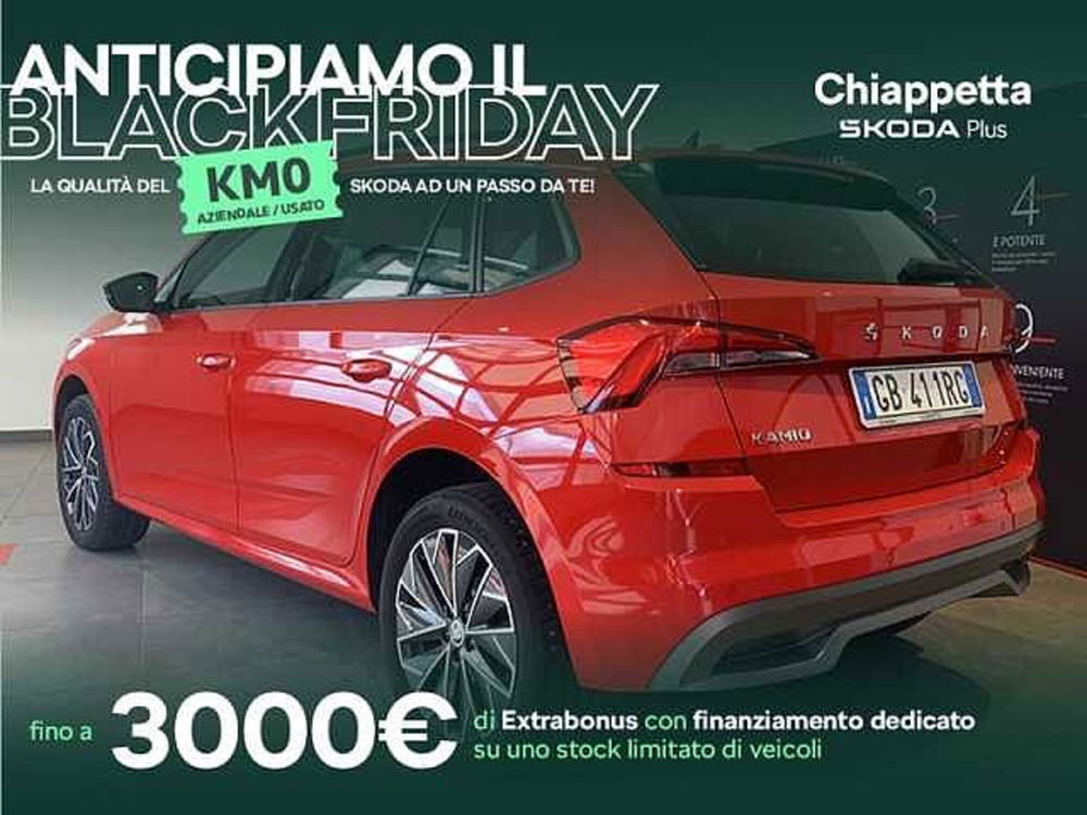 Skoda Kamiq usata a Cosenza (5)