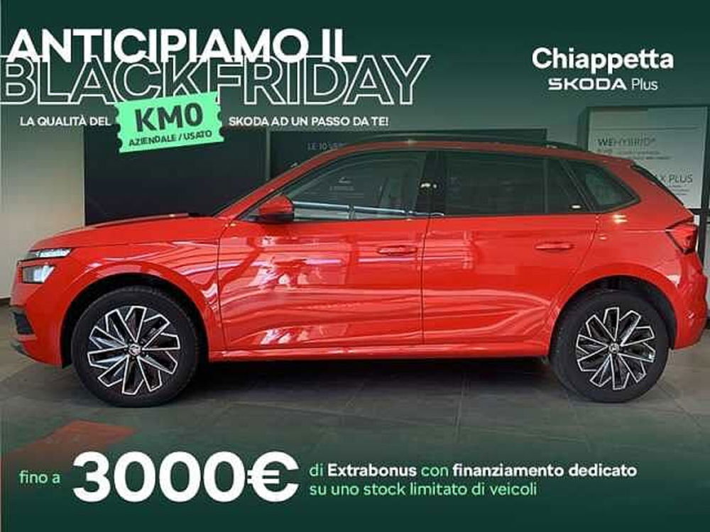 Skoda Kamiq usata a Cosenza (6)