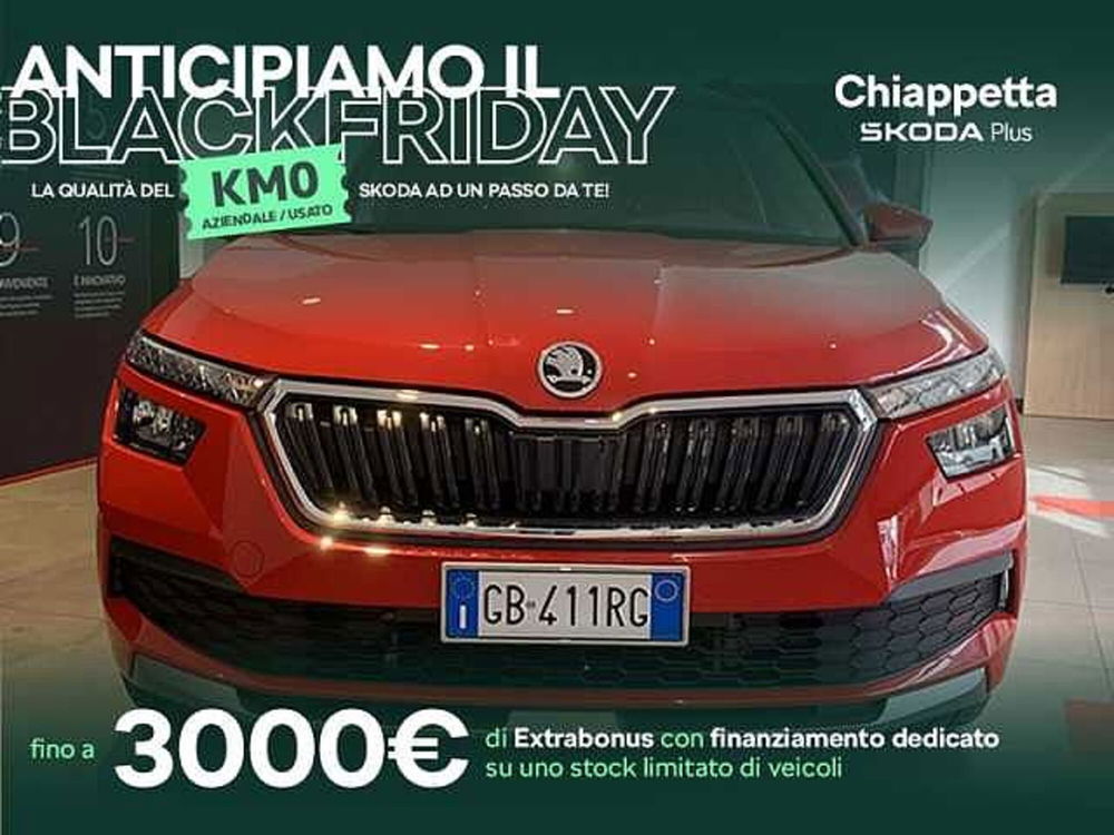 Skoda Kamiq usata a Cosenza (7)