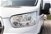 Ford Transit Furgone 290 2.0TDCi EcoBlue 130CV PM-TM Furgone Entry  del 2019 usata a Silea (19)