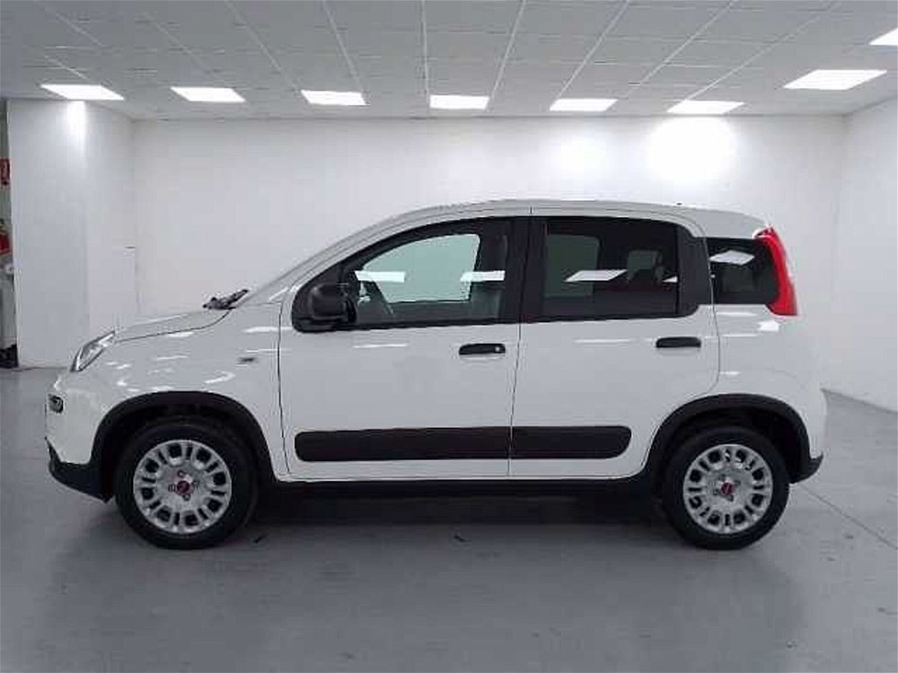 Fiat Panda 1.0 GSE S&S Hybrid Easy Van 4 posti nuova a Cuneo (5)