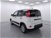 Fiat Panda 1.0 GSE S&S Hybrid Easy Van 4 posti nuova a Cuneo (6)
