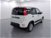 Fiat Panda 1.0 GSE S&S Hybrid Easy Van 4 posti nuova a Cuneo (8)
