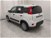 Fiat Panda 1.0 GSE S&S Hybrid Easy Van 4 posti nuova a Cuneo (6)