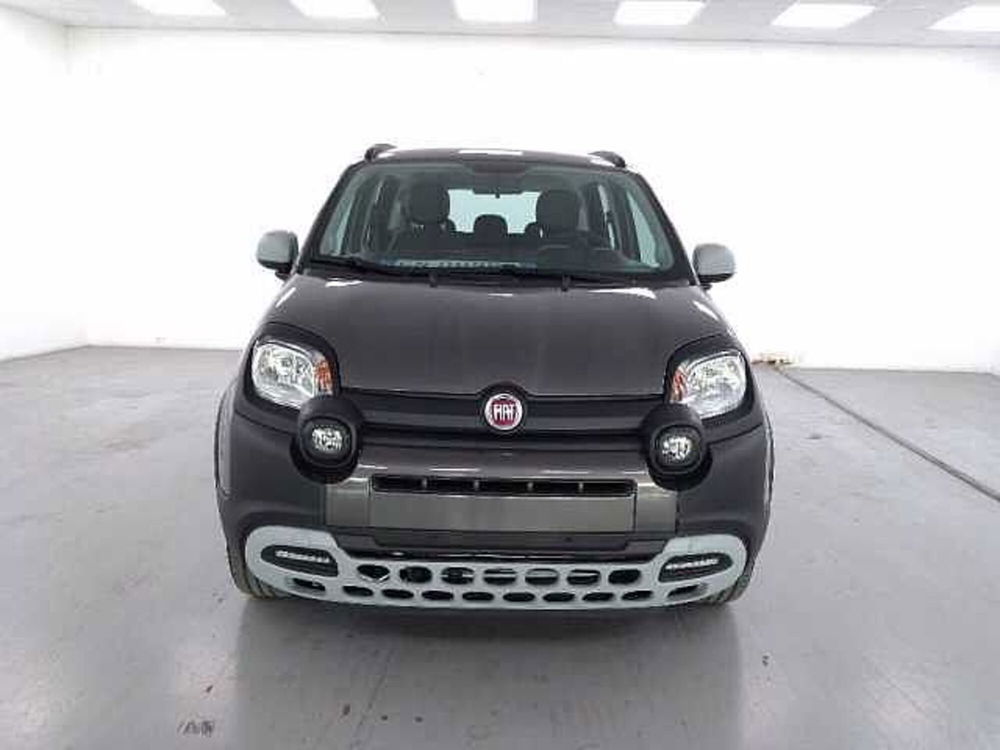 Fiat Panda nuova a Cuneo (2)