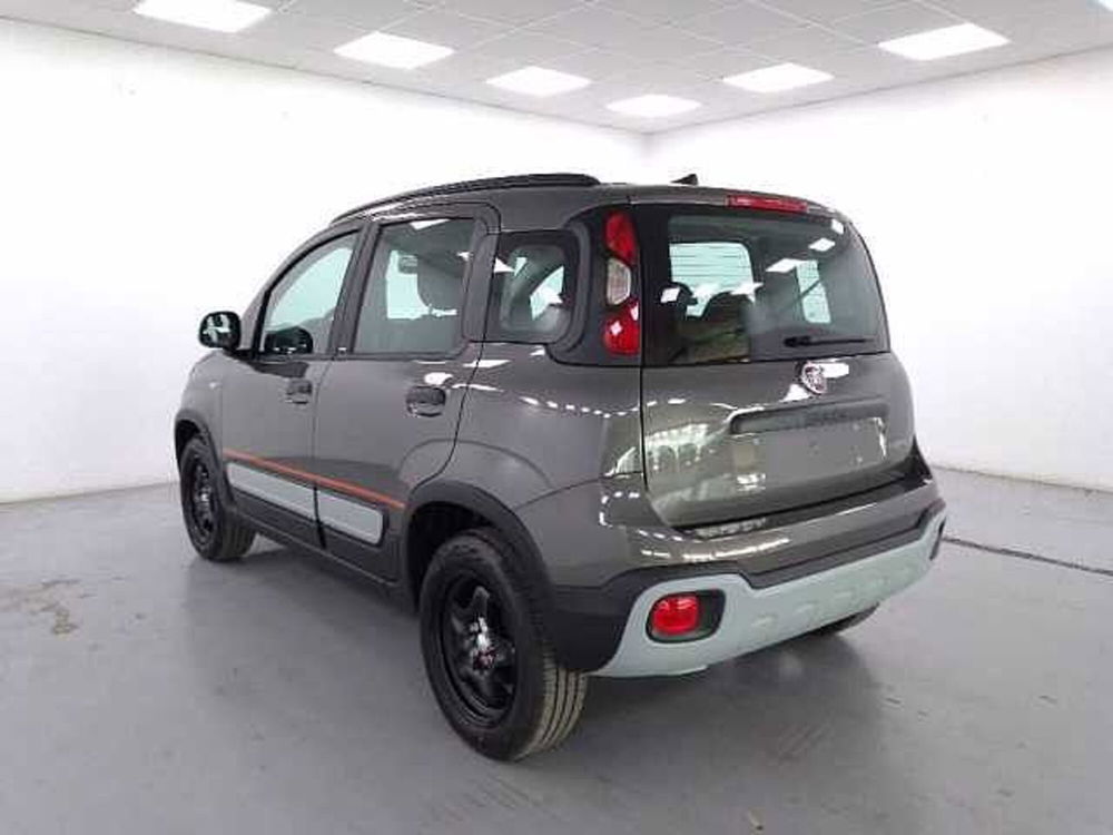 Fiat Panda nuova a Cuneo (6)