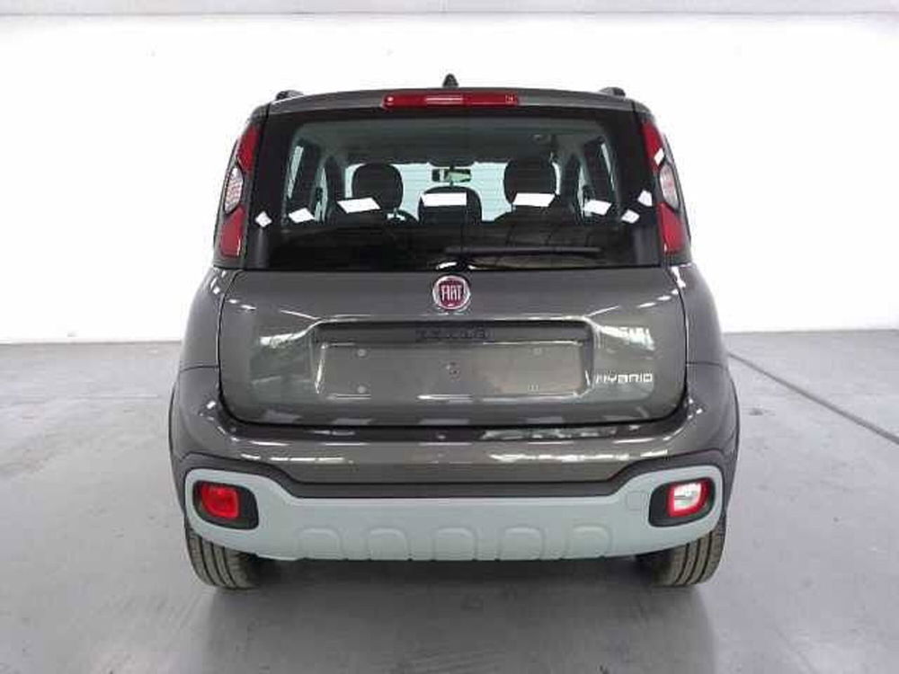 Fiat Panda nuova a Cuneo (7)