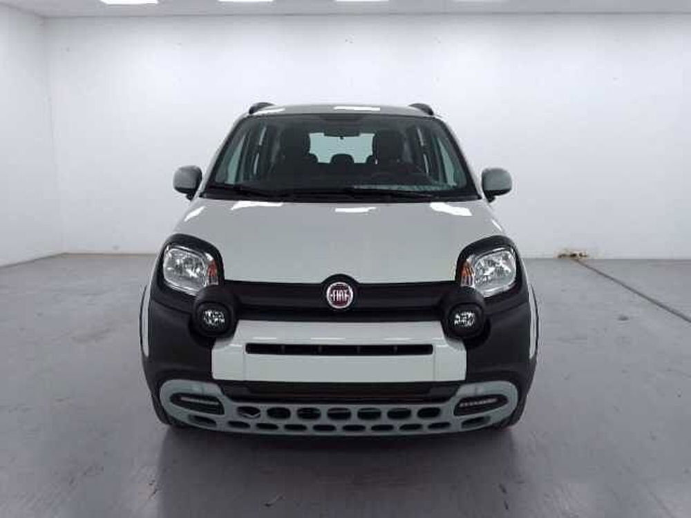 Fiat Panda 1.0 firefly hybrid s&s 70cv 5p.ti nuova a Cuneo (2)