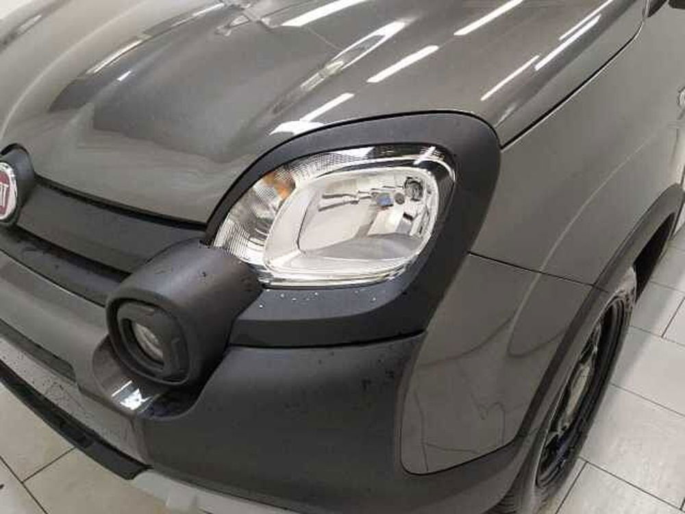 Fiat Panda nuova a Cuneo (11)