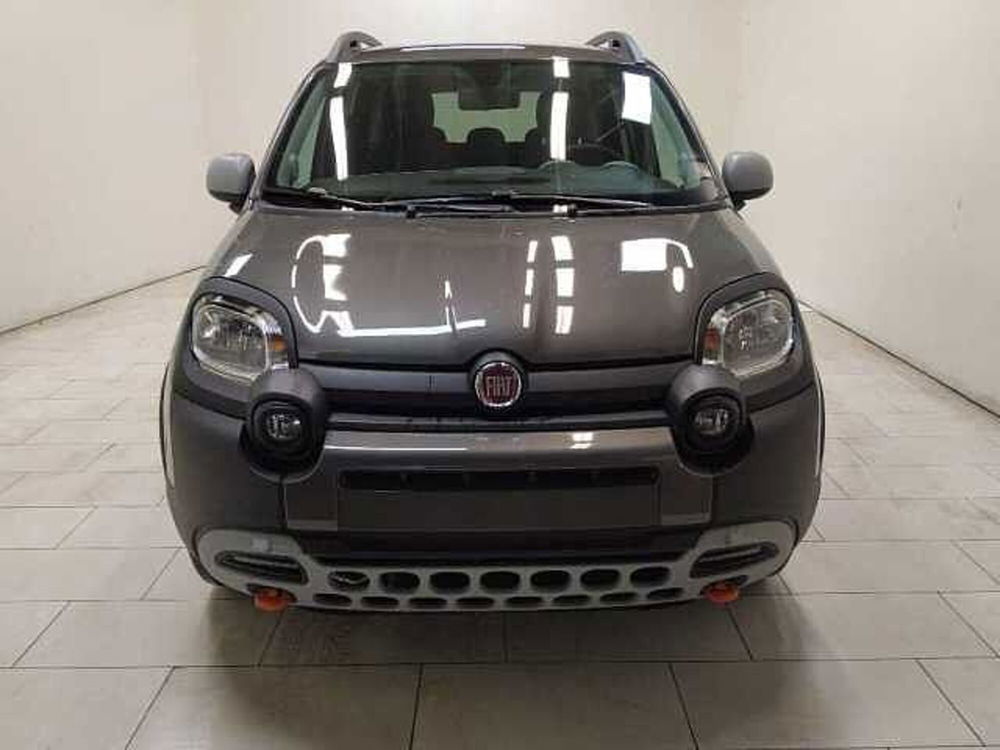 Fiat Panda nuova a Cuneo (2)