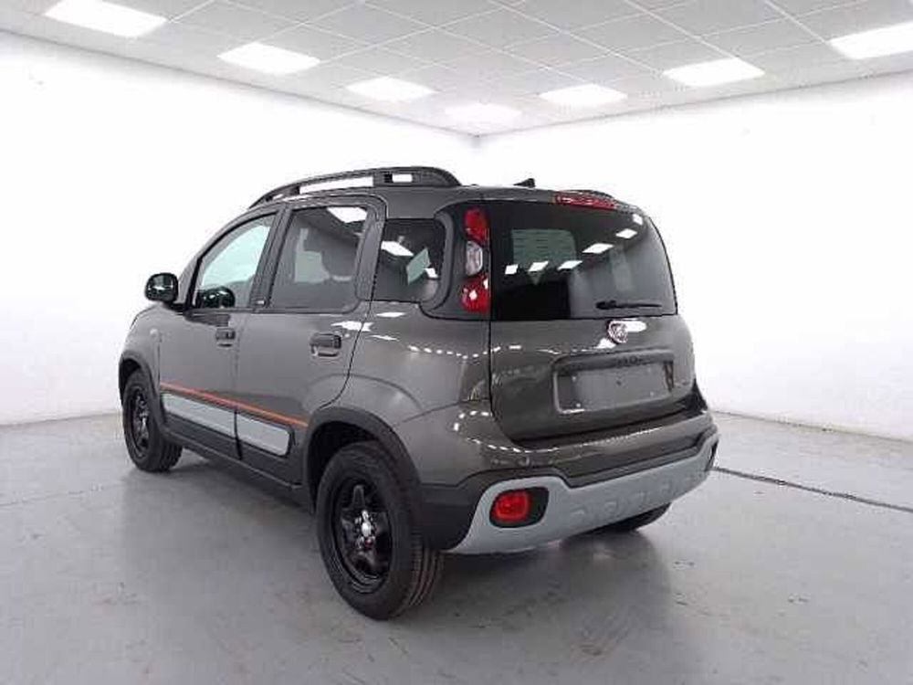 Fiat Panda nuova a Cuneo (6)