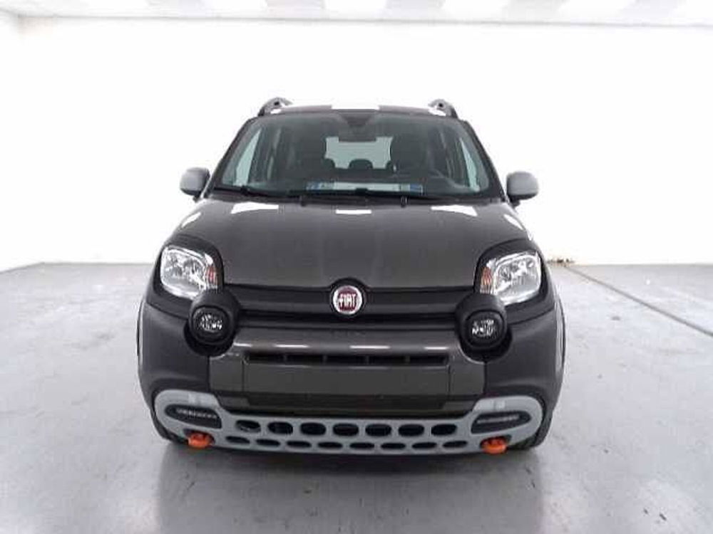 Fiat Panda nuova a Cuneo (2)