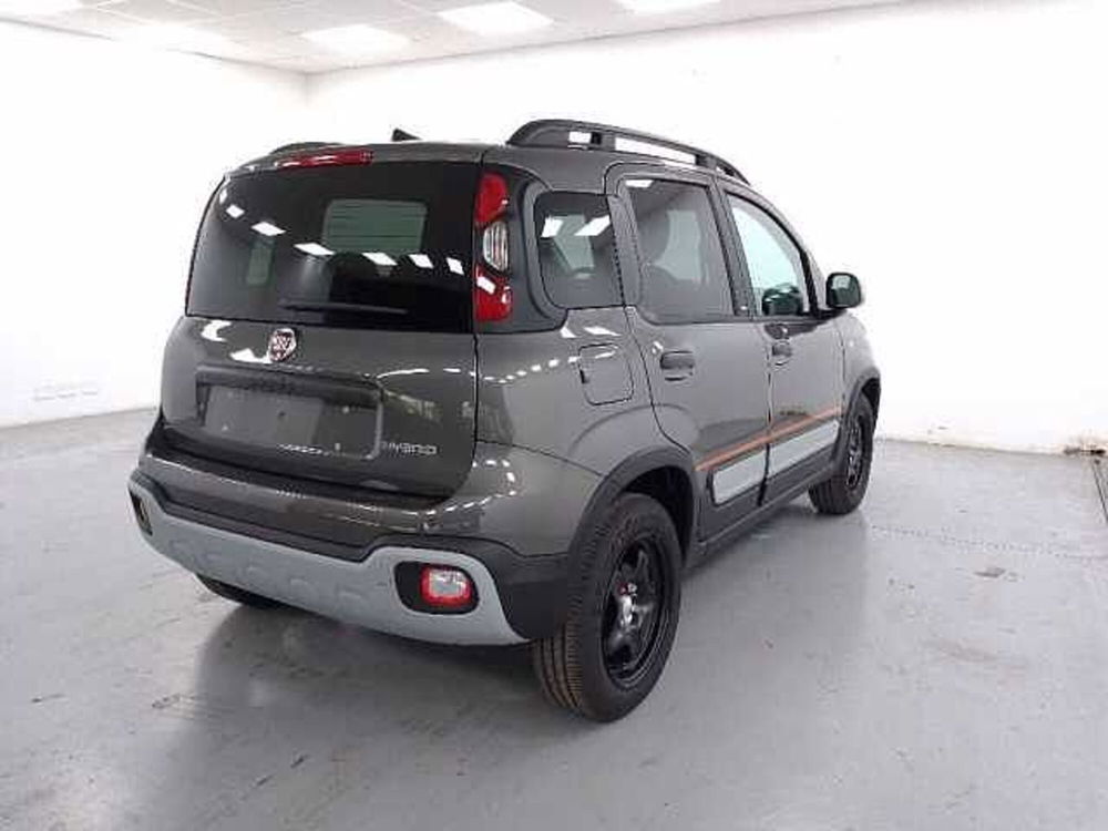 Fiat Panda nuova a Cuneo (8)