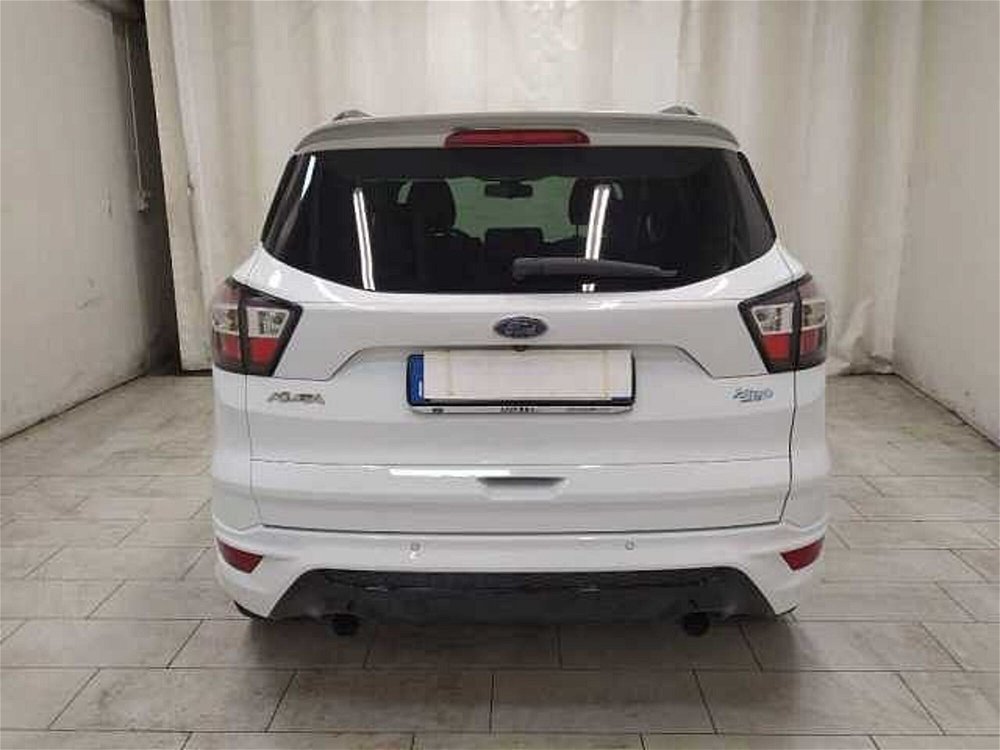 Ford Kuga 2.0 TDCI 150 CV S&S 4WD Powershift ST-Line  del 2017 usata a Cuneo (5)
