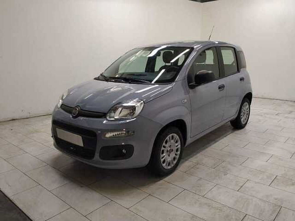 Fiat Panda usata a Cuneo