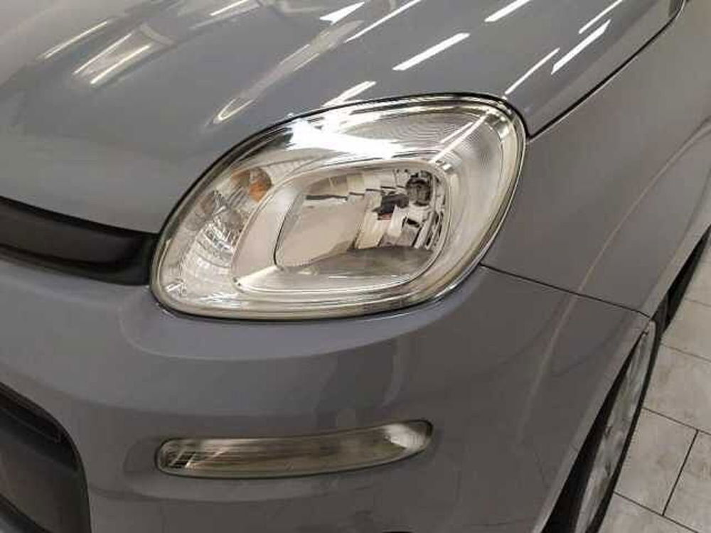 Fiat Panda usata a Cuneo (10)