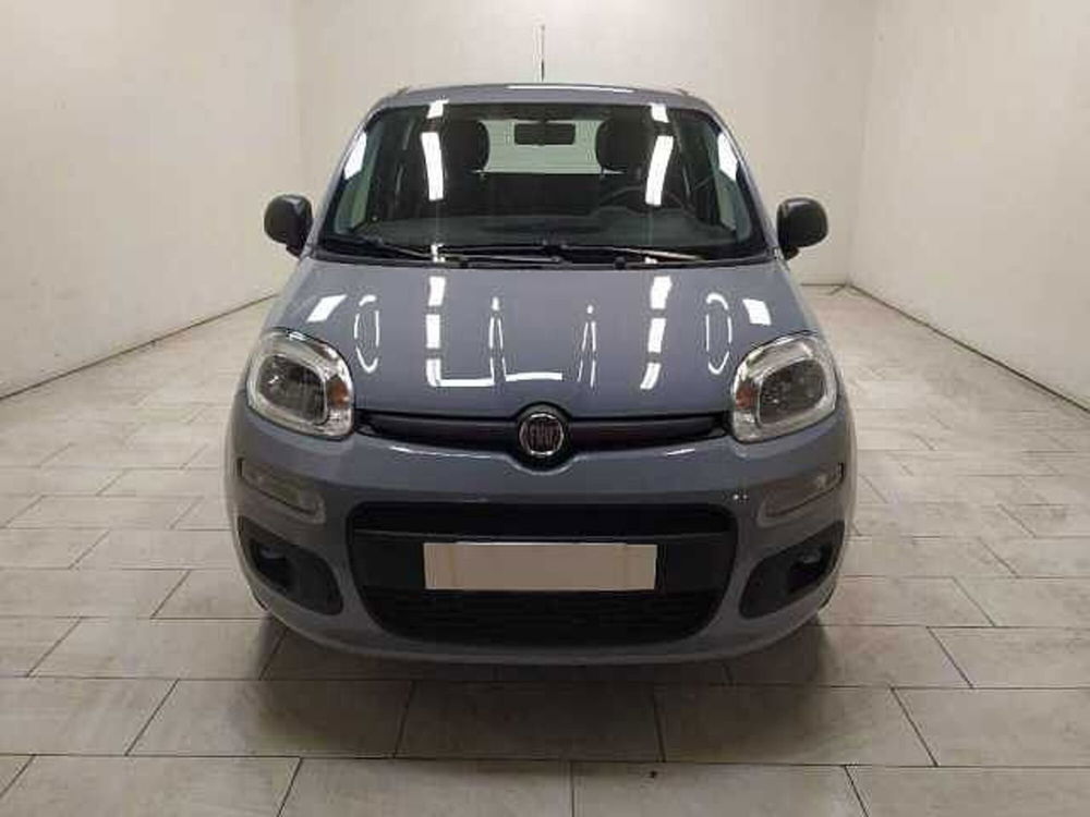 Fiat Panda usata a Cuneo (2)