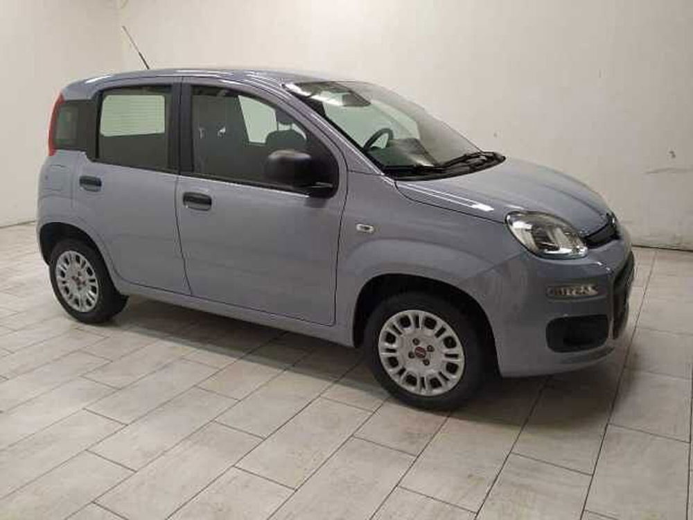 Fiat Panda 1.2 Easy  del 2019 usata a Cuneo (3)