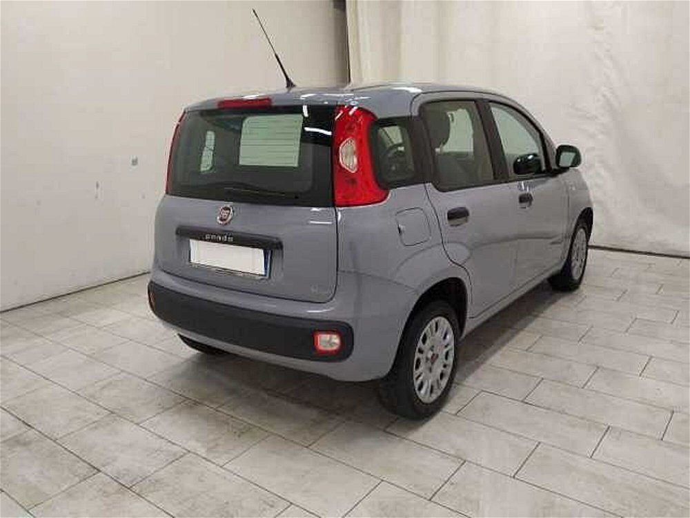 Fiat Panda 1.2 Easy  del 2019 usata a Cuneo (4)