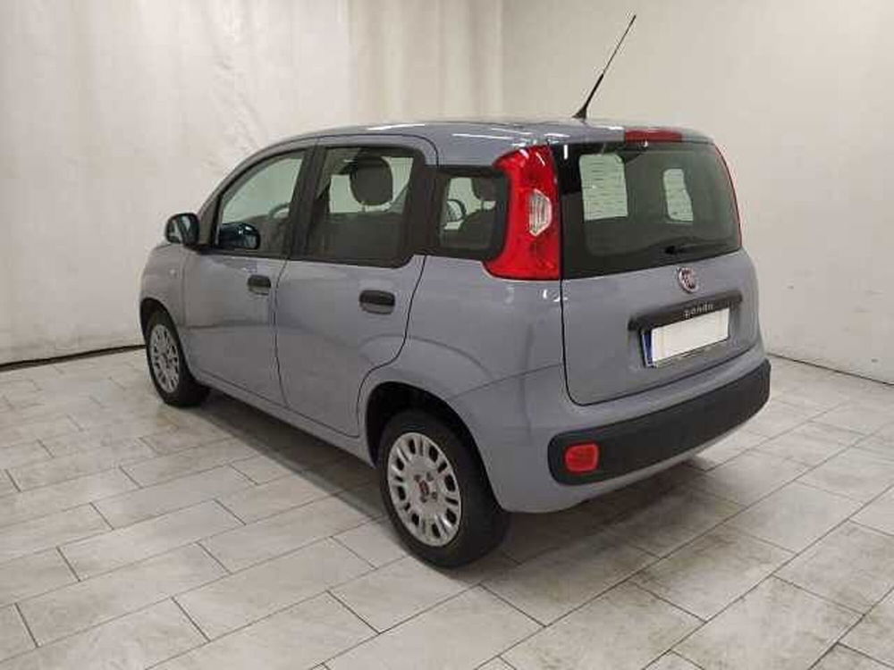 Fiat Panda usata a Cuneo (6)