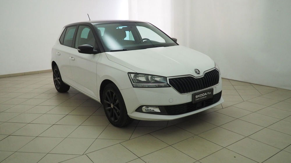 Skoda Fabia usata a Torino (7)