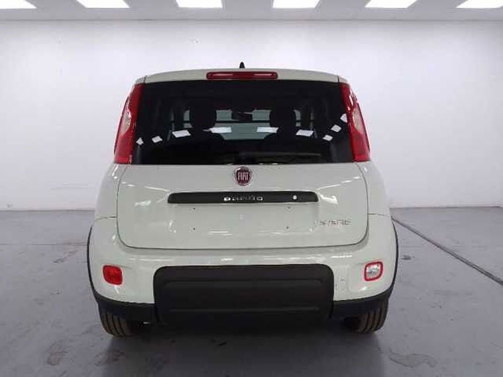 Fiat Panda nuova a Cuneo (7)