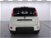 Fiat Panda 1.0 GSE S&S Hybrid Pop Van 2 posti  nuova a Cuneo (7)