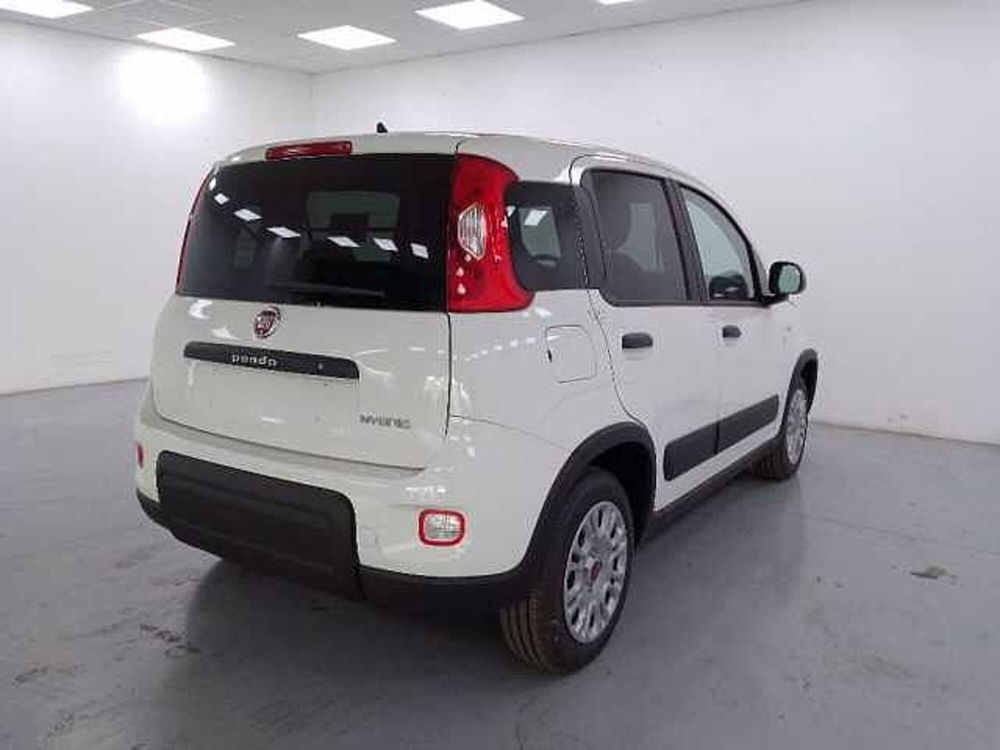 Fiat Panda nuova a Cuneo (8)