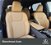 Lexus RX 350h Premium Hybrid Executive nuova a Cremona (6)