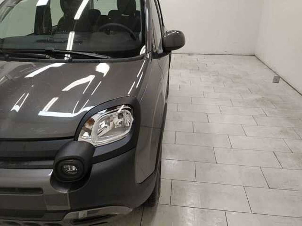 Fiat Panda nuova a Cuneo (8)