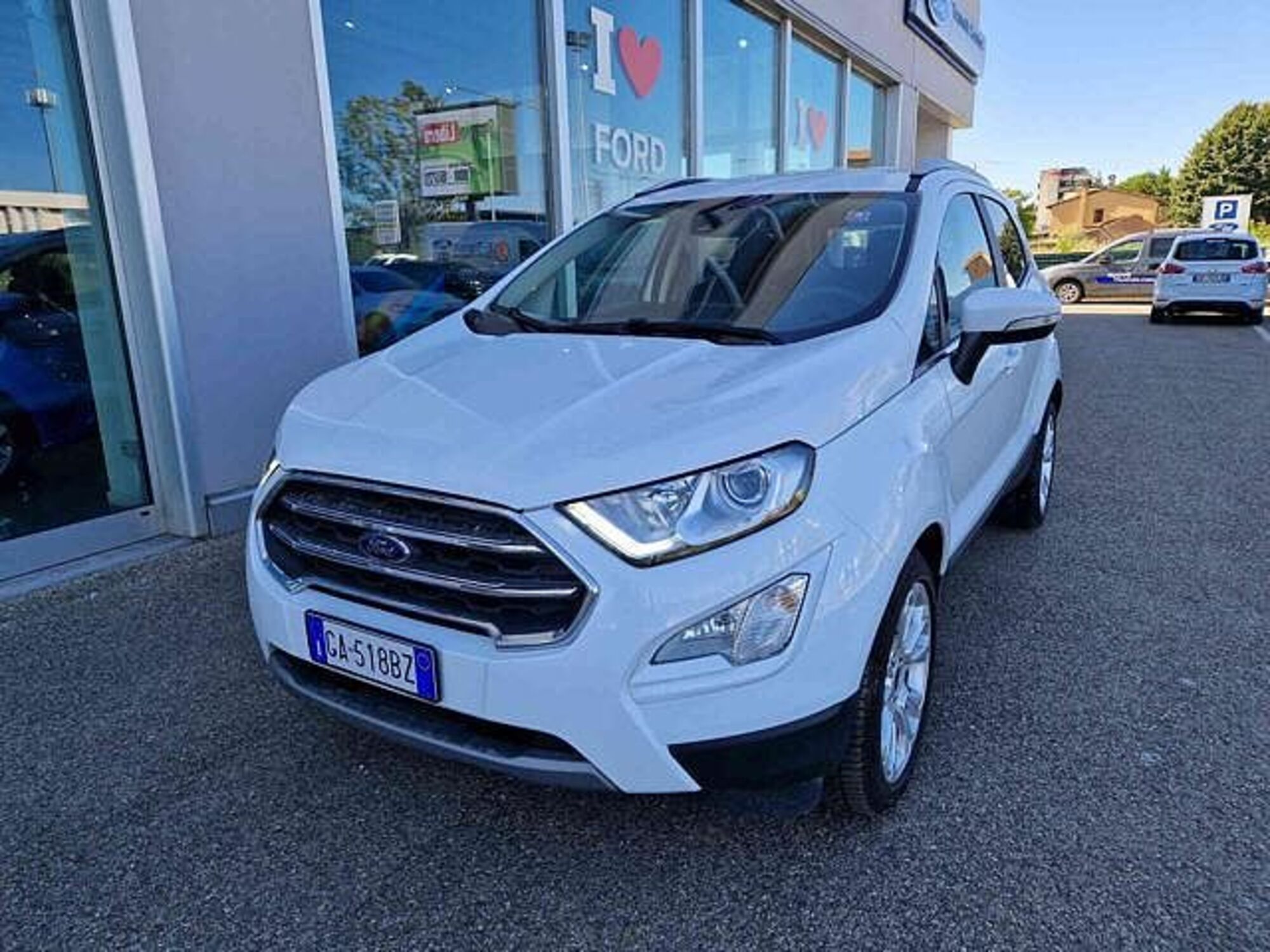 Ford EcoSport 1.5 Ecoblue 95 CV Start&amp;Stop Titanium del 2020 usata a Imola