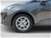 Ford Fiesta 1.0 Ecoboost 125 CV DCT Titanium del 2021 usata a Rosignano Marittimo (15)