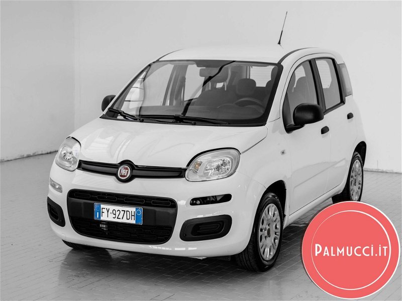 Fiat Panda 1.2 Easy my 11 del 2019 usata a Prato