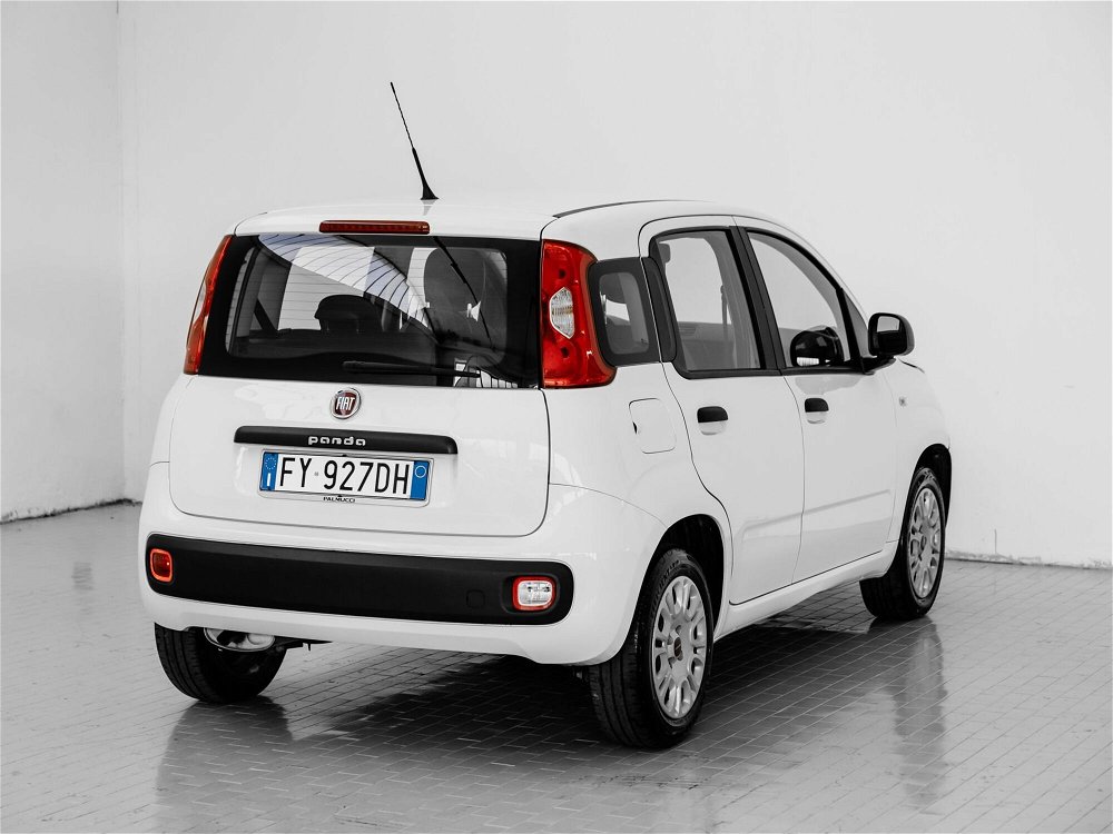 Fiat Panda 1.2 Easy  del 2019 usata a Prato (4)