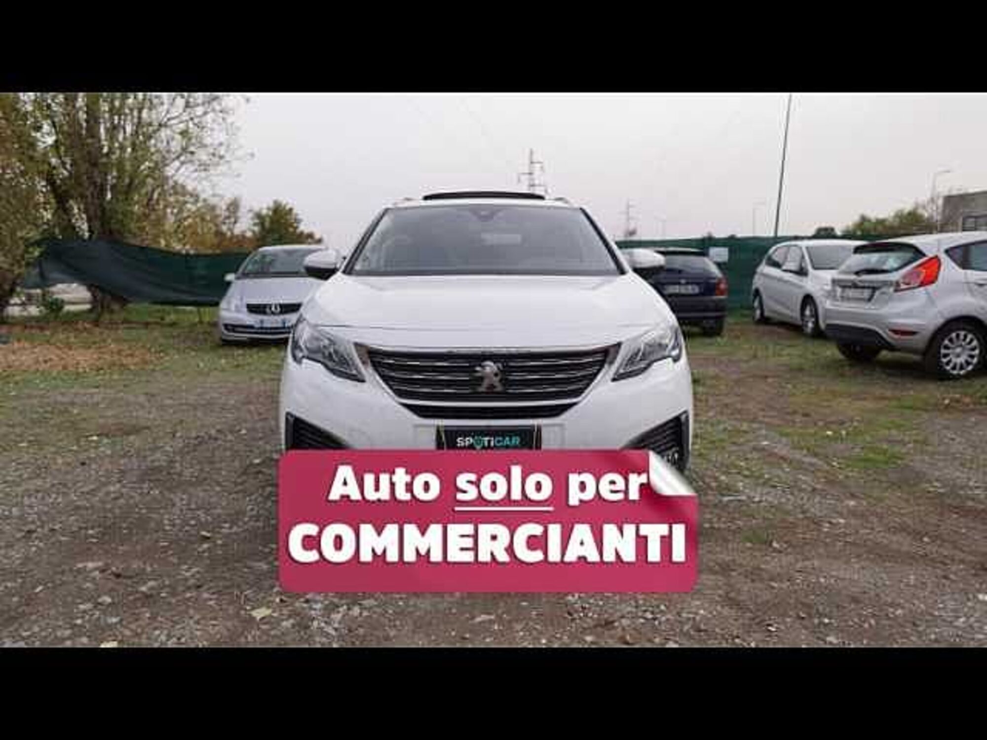 Peugeot 5008 BlueHDi 130 S&amp;S EAT8 Active Business del 2019 usata a Ravenna