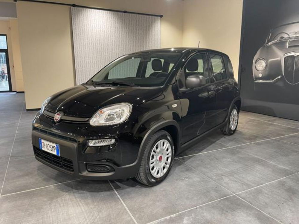 Fiat Panda nuova a Aosta (2)