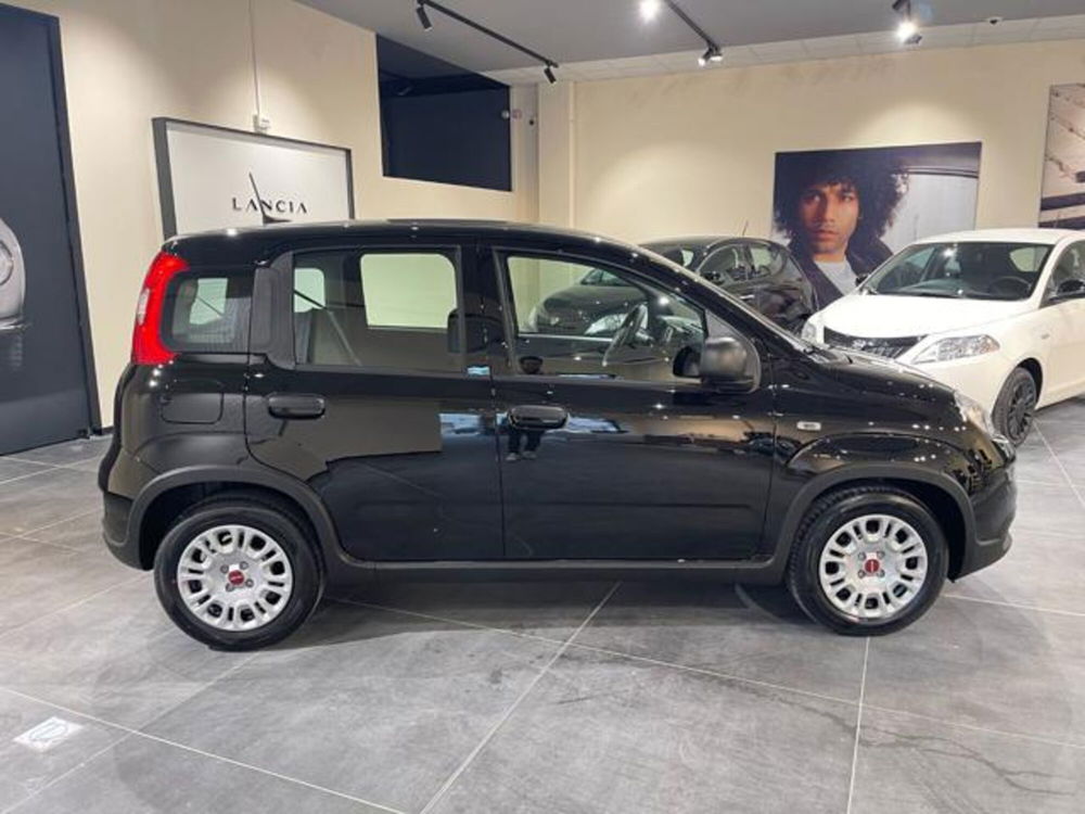 Fiat Panda nuova a Aosta (7)