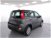 Fiat Panda 1.2 Active EasyPower nuova a Cuneo (8)