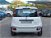 Fiat Panda Cross Cross 1.0 FireFly S&S Hybrid  nuova a Desenzano del Garda (19)
