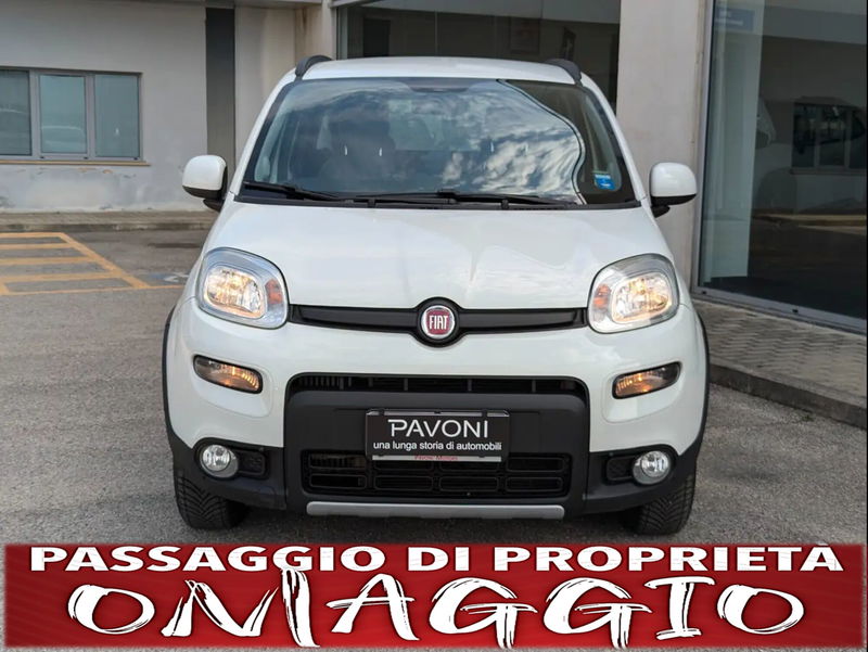 Fiat Panda 0.9 TwinAir Turbo S&amp;S 4x4 Wild del 2017 usata a Pescara