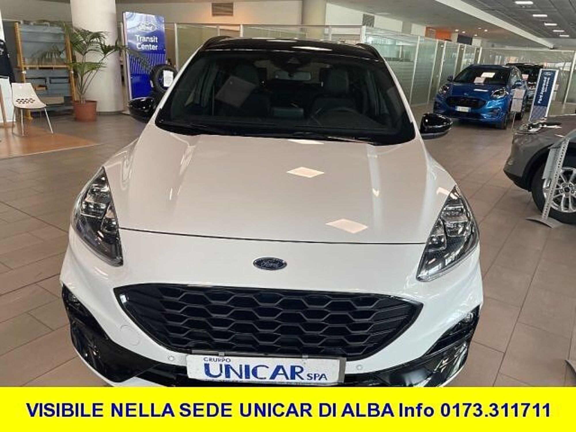 Ford Kuga 2.5 Full Hybrid 190 CV CVT 2WD ST-Line X nuova a Alba