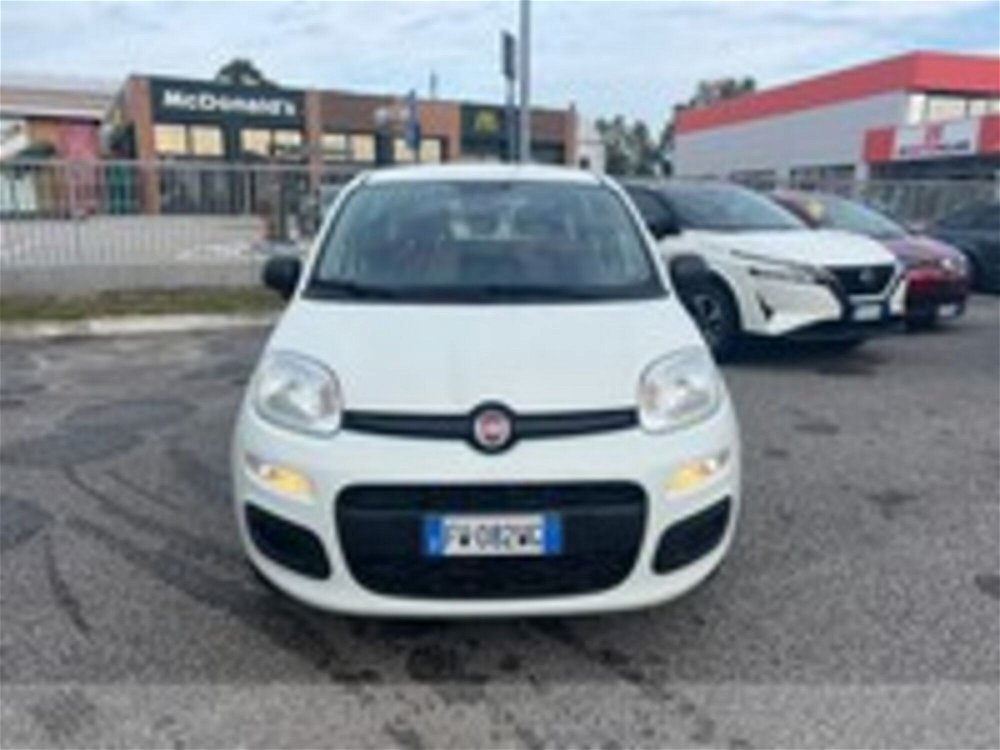 Fiat Panda 1.2 Pop  del 2019 usata a Pordenone (2)