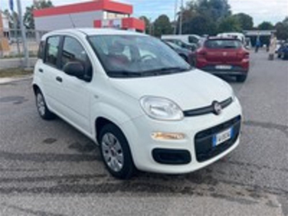 Fiat Panda 1.2 Pop  del 2019 usata a Pordenone (3)