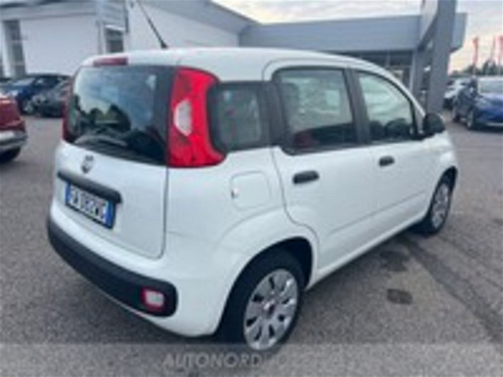 Fiat Panda 1.2 Pop  del 2019 usata a Pordenone (4)