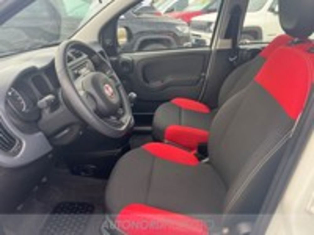 Fiat Panda usata a Pordenone (7)