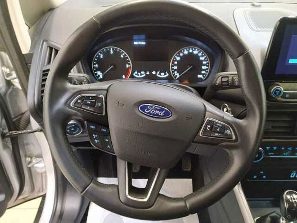 Ford EcoSport usata a Cuneo (15)