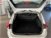 Ford Focus Station Wagon 1.5 EcoBlue 120 CV automatico SW Business Co-Pilot  del 2021 usata a Imola (15)