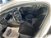 Ford Focus Station Wagon 1.5 EcoBlue 120 CV automatico SW Business Co-Pilot  del 2021 usata a Imola (7)