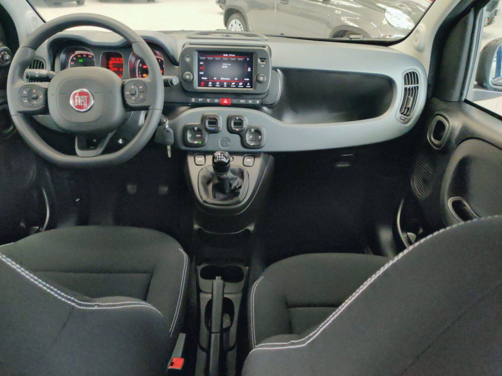 Fiat Panda Cross nuova a Pordenone (8)